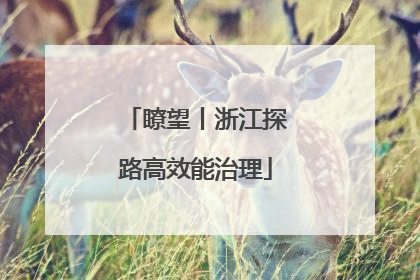 瞭望丨浙江探路高效能治理