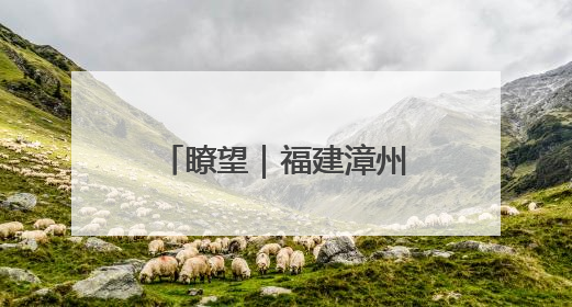 瞭望｜福建漳州东山县，画出守护“蝶岛”同心圆