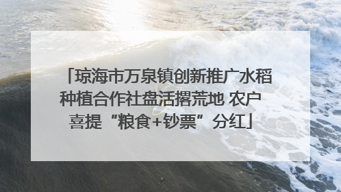 琼海市万泉镇创新推广水稻种植合作社盘活撂荒地 农户喜提“粮食+钞票”分红