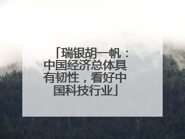 瑞银胡一帆：中国经济总体具有韧性，看好中国科技行业