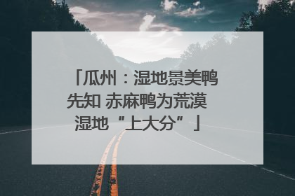 瓜州：湿地景美鸭先知 赤麻鸭为荒漠湿地“上大分”