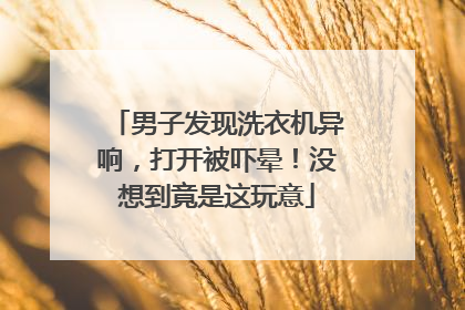 男子发现洗衣机异响，打开被吓晕！没想到竟是这玩意
