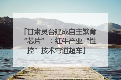 甘肃灵台建成自主繁育“芯片”：红牛产业“性控”技术弯道超车