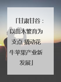 甘肃甘谷：以苗木繁育为支点 撬动花牛苹果产业新发展
