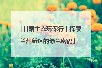 甘肃生态环保行丨探索兰州新区的绿色密码