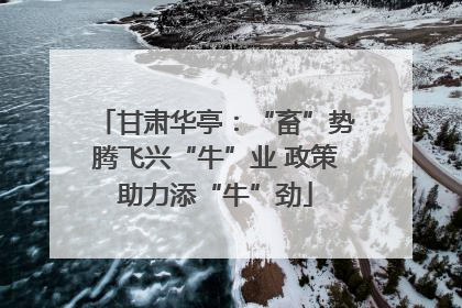 甘肃华亭：“畜”势腾飞兴“牛”业 政策助力添“牛”劲