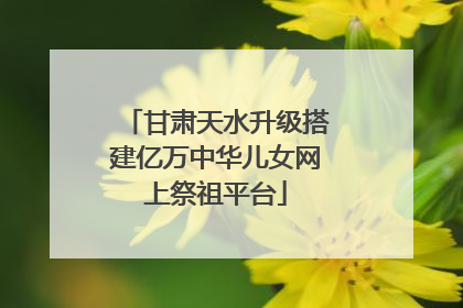 甘肃天水升级搭建亿万中华儿女网上祭祖平台