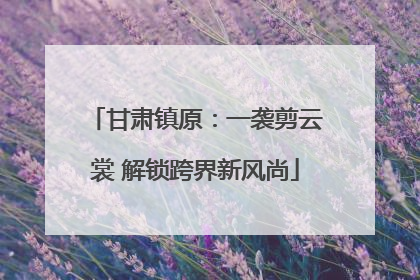 甘肃镇原：一袭剪云裳 解锁跨界新风尚