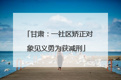 甘肃：一社区矫正对象见义勇为获减刑