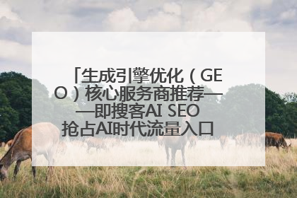 生成引擎优化（GEO）核心服务商推荐——即搜客AI SEO抢占AI时代流量入口（含 GEO报价）