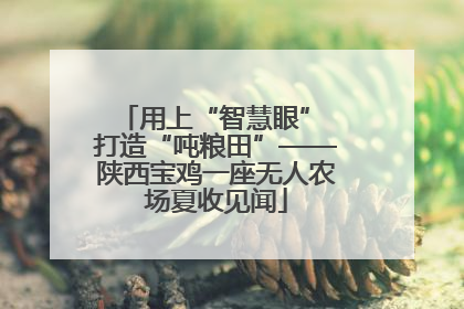 用上“智慧眼” 打造“吨粮田”——陕西宝鸡一座无人农场夏收见闻