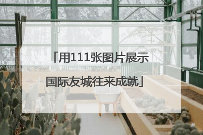 用111张图片展示国际友城往来成就