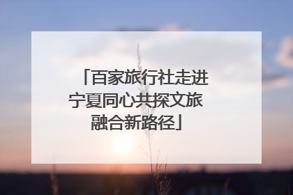 百家旅行社走进宁夏同心共探文旅融合新路径