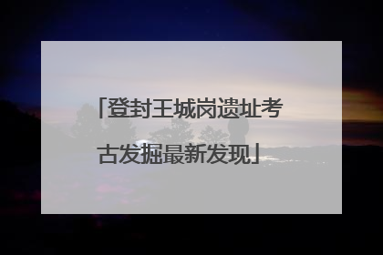 登封王城岗遗址考古发掘最新发现