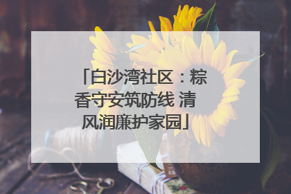 白沙湾社区：粽香守安筑防线 清风润廉护家园
