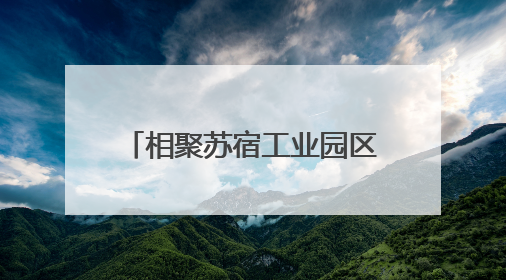 相聚苏宿工业园区！苏州、宿迁青年企业家共谋发展