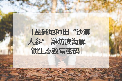 盐碱地种出“沙漠人参” 潍坊滨海解锁生态致富密码