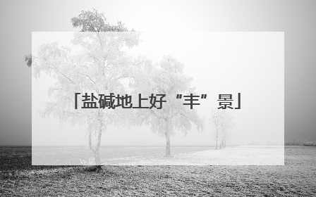 盐碱地上好“丰”景