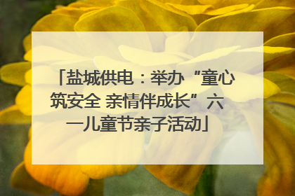 盐城供电：举办“童心筑安全 亲情伴成长”六一儿童节亲子活动