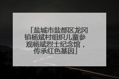 盐城市盐都区龙冈镇杨斌村组织儿童参观杨斌烈士纪念馆，传承红色基因
