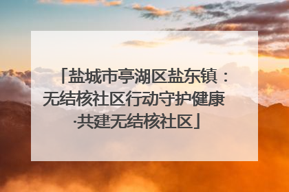 盐城市亭湖区盐东镇：无结核社区行动守护健康 ·共建无结核社区