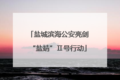 盐城滨海公安亮剑“盐靖”Ⅱ号行动