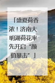 盛夏荷香浓！济南大明湖荷花率先开启“颜值暴击”