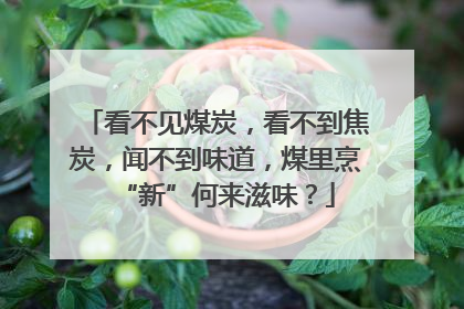 看不见煤炭，看不到焦炭，闻不到味道，煤里烹“新”何来滋味？