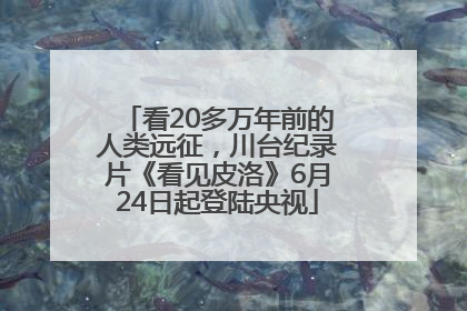 看20多万年前的人类远征，川台纪录片《看见皮洛》6月24日起登陆央视
