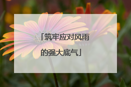 筑牢应对风雨的强大底气