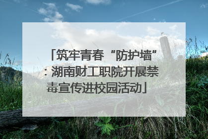 筑牢青春“防护墙”：湖南财工职院开展禁毒宣传进校园活动