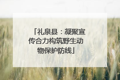 礼泉县：凝聚宣传合力构筑野生动物保护防线