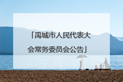 禹城市人民代表大会常务委员会公告