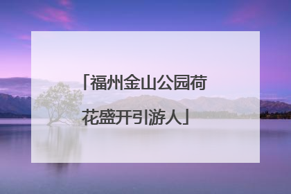 福州金山公园荷花盛开引游人