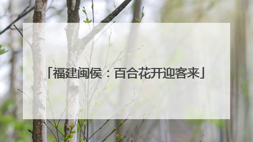 福建闽侯：百合花开迎客来