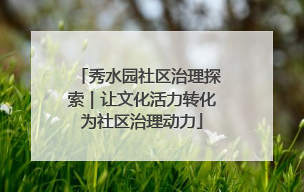 秀水园社区治理探索｜让文化活力转化为社区治理动力