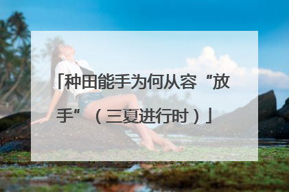 种田能手为何从容“放手”（三夏进行时）