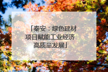秦安：绿色建材项目赋能工业经济高质量发展