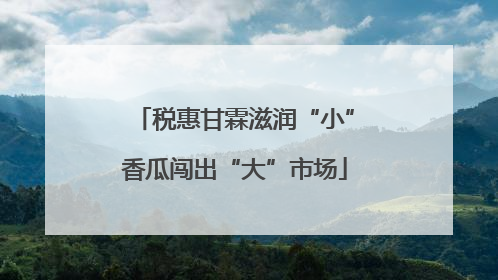 税惠甘霖滋润“小”香瓜闯出“大”市场