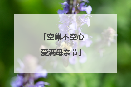 空巢不空心 爱满母亲节