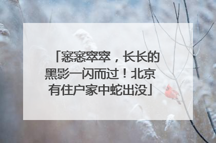 窸窸窣窣，长长的黑影一闪而过！北京有住户家中蛇出没