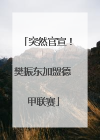 突然官宣！樊振东加盟德甲联赛