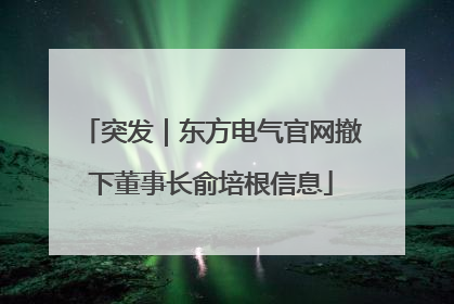 突发｜东方电气官网撤下董事长俞培根信息