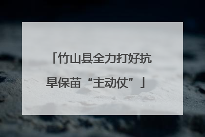 竹山县全力打好抗旱保苗“主动仗”