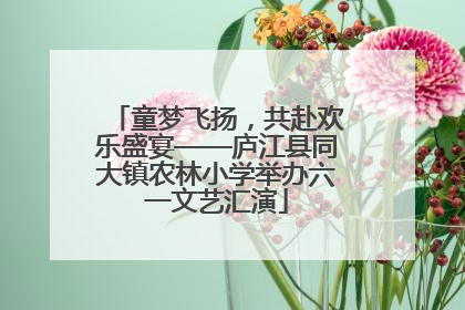童梦飞扬，共赴欢乐盛宴——庐江县同大镇农林小学举办六一文艺汇演