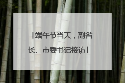 端午节当天，副省长、市委书记接访