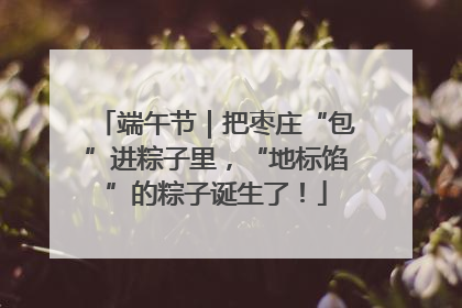 端午节｜把枣庄“包”进粽子里，“地标馅”的粽子诞生了！