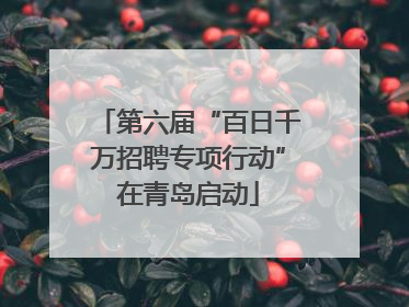 第六届“百日千万招聘专项行动”在青岛启动