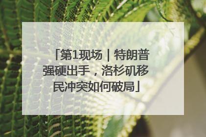 第1现场｜特朗普强硬出手，洛杉矶移民冲突如何破局