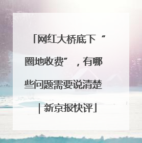 网红大桥底下“圈地收费”，有哪些问题需要说清楚｜新京报快评